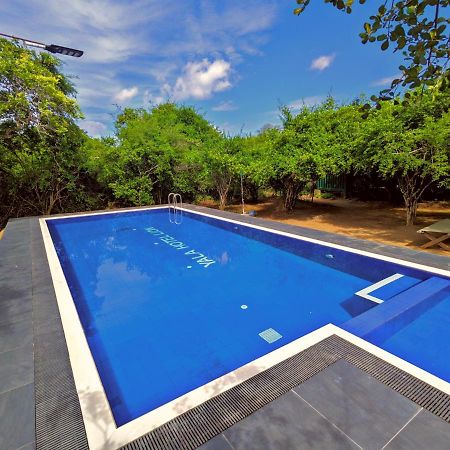 Yala Hotel Lion -Air Conditioned High Luxury Safari Camp Ngoại thất bức ảnh