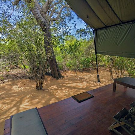 Yala Hotel Lion -Air Conditioned High Luxury Safari Camp Ngoại thất bức ảnh