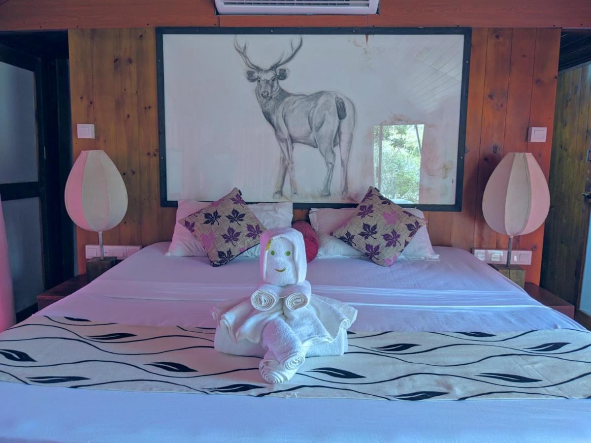 Yala Hotel Lion -Air Conditioned High Luxury Safari Camp Ngoại thất bức ảnh