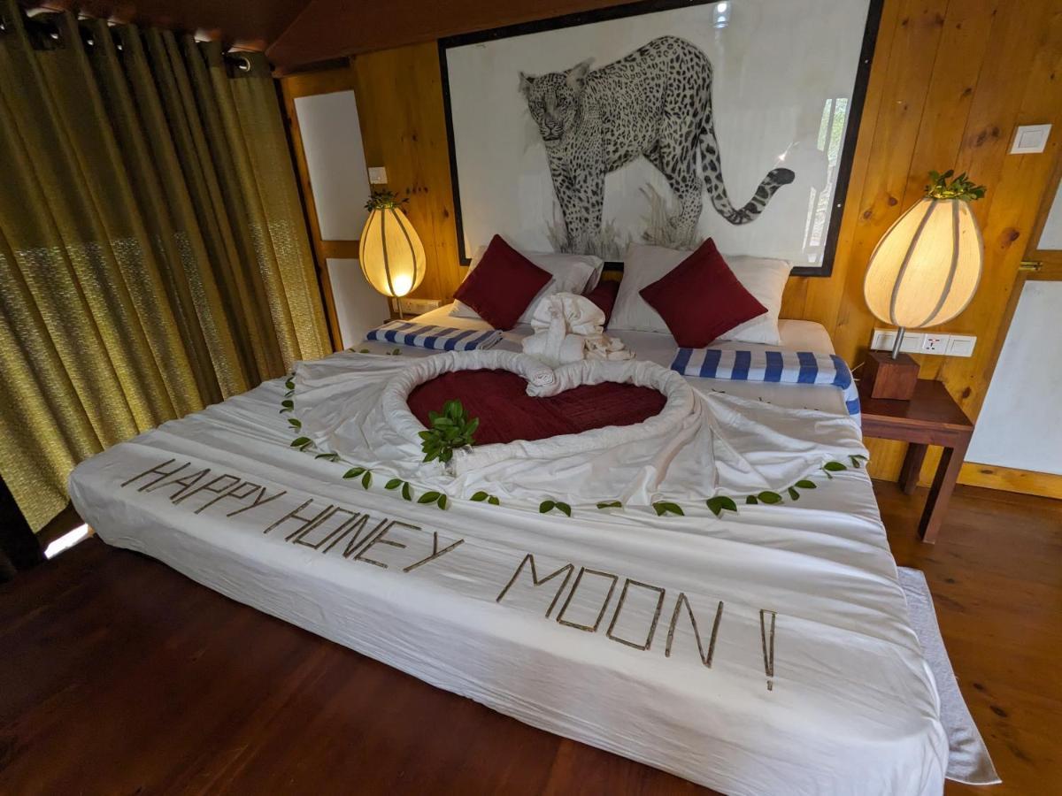 Yala Hotel Lion -Air Conditioned High Luxury Safari Camp Ngoại thất bức ảnh