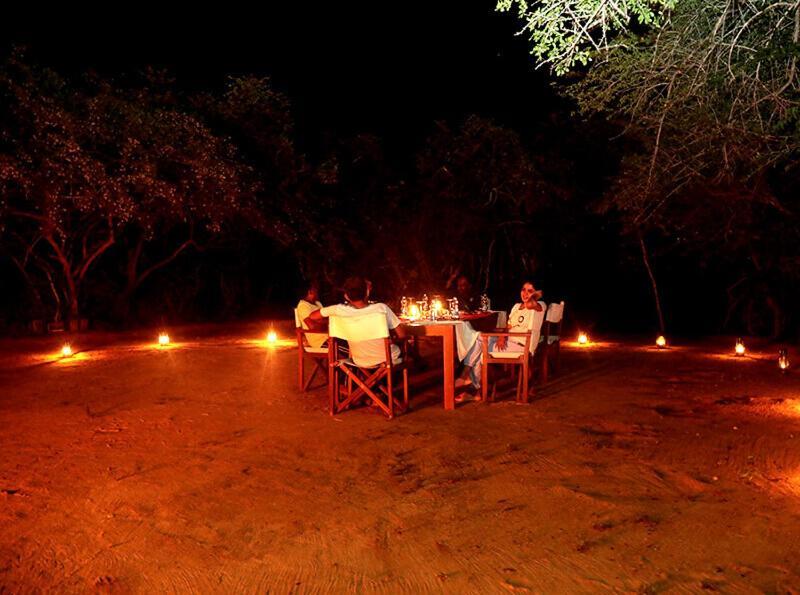 Yala Hotel Lion -Air Conditioned High Luxury Safari Camp Ngoại thất bức ảnh