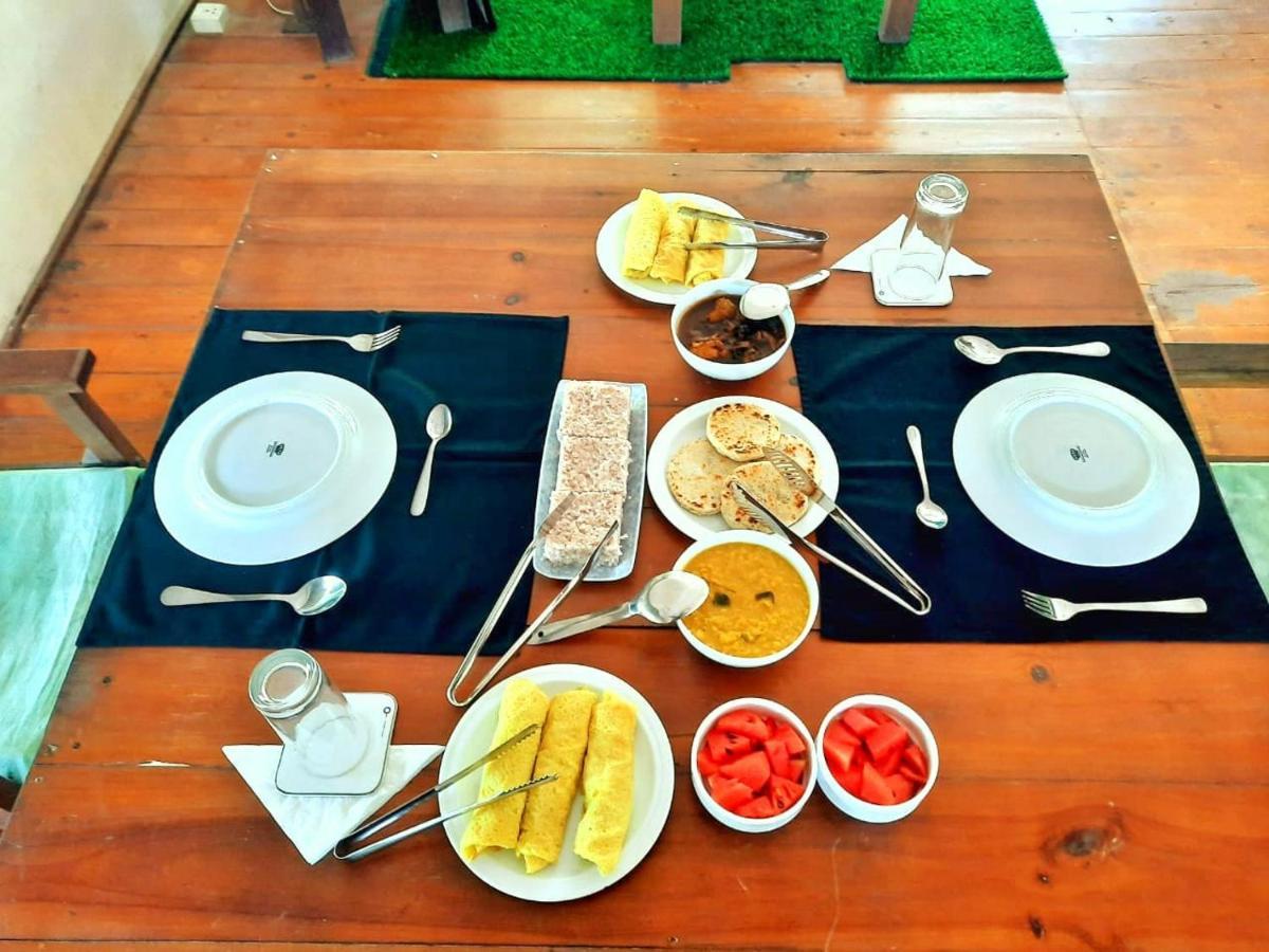 Yala Hotel Lion -Air Conditioned High Luxury Safari Camp Ngoại thất bức ảnh