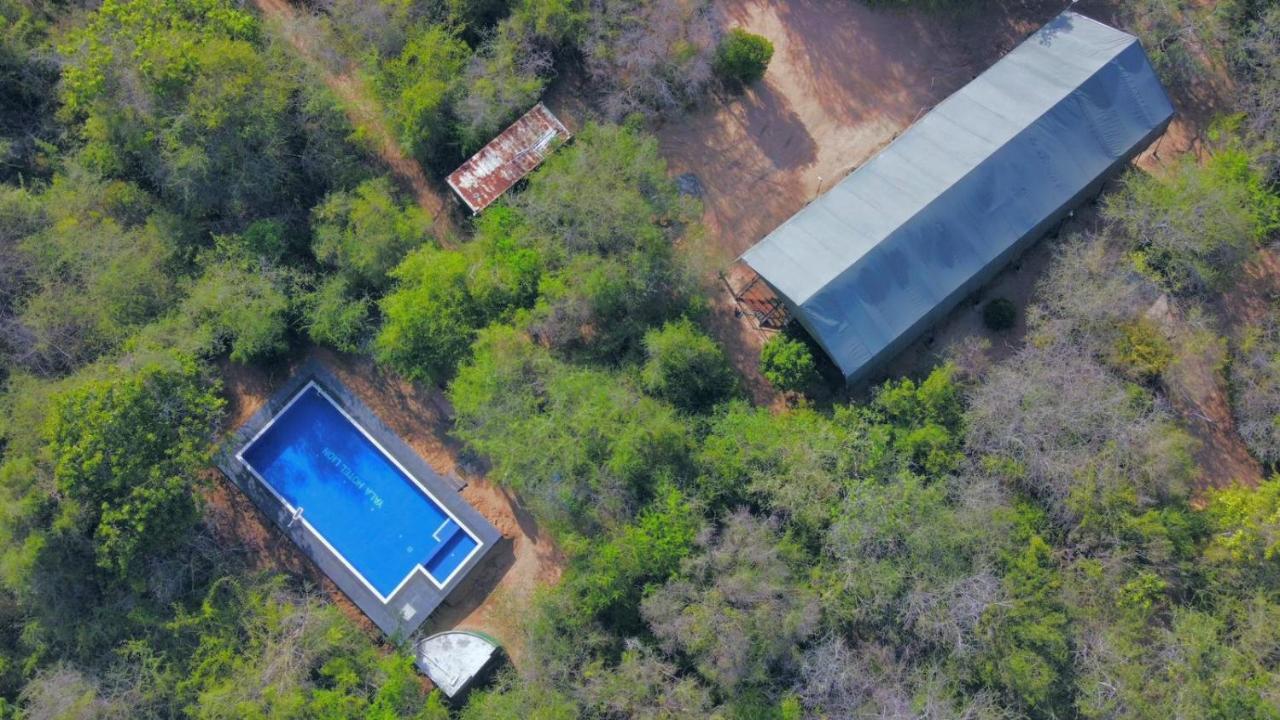 Yala Hotel Lion -Air Conditioned High Luxury Safari Camp Ngoại thất bức ảnh