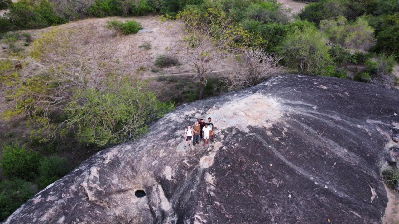 Yala Hotel Lion -Air Conditioned High Luxury Safari Camp Ngoại thất bức ảnh