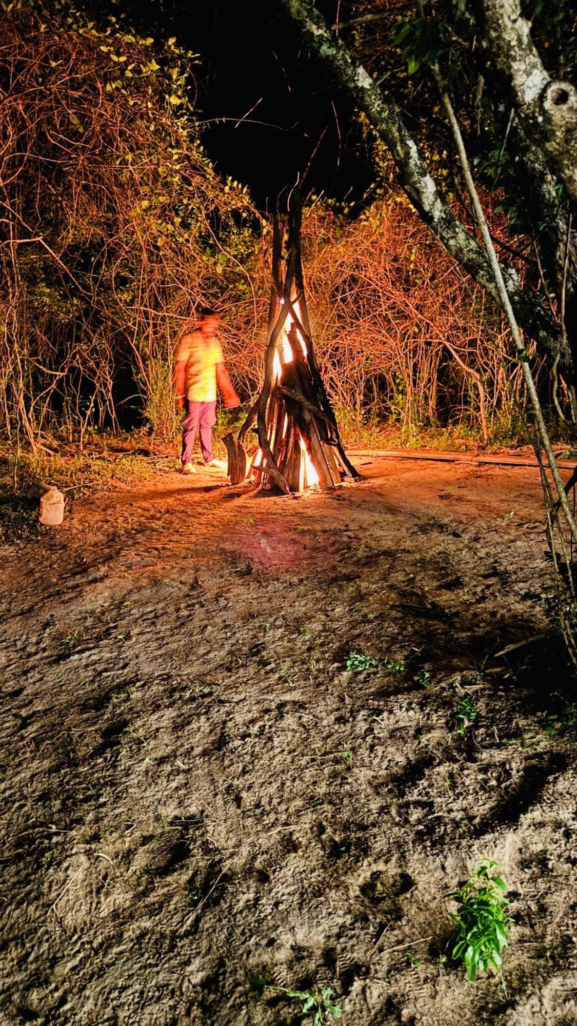 Yala Hotel Lion -Air Conditioned High Luxury Safari Camp Ngoại thất bức ảnh