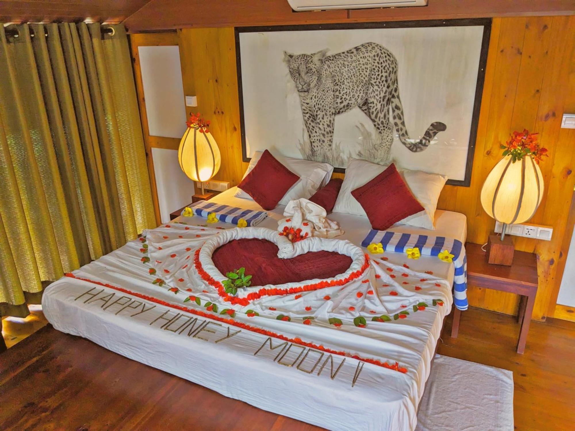 Yala Hotel Lion -Air Conditioned High Luxury Safari Camp Ngoại thất bức ảnh