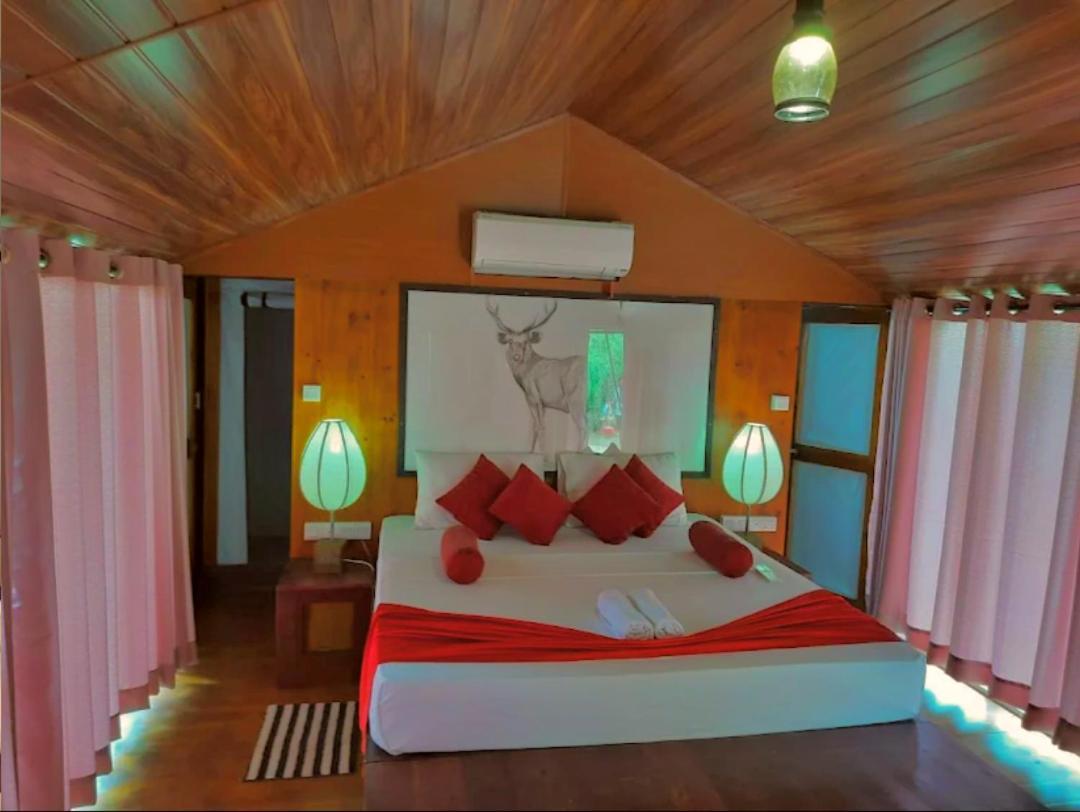 Yala Hotel Lion -Air Conditioned High Luxury Safari Camp Ngoại thất bức ảnh